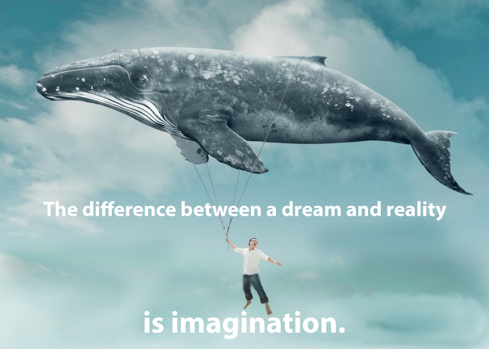 Dream Whale