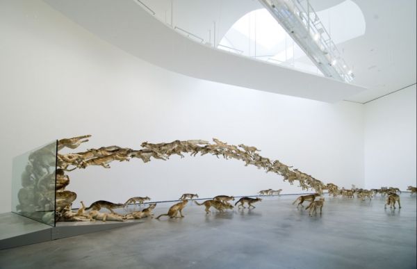 Head On - Art piece by Cai Guo-Qiang
