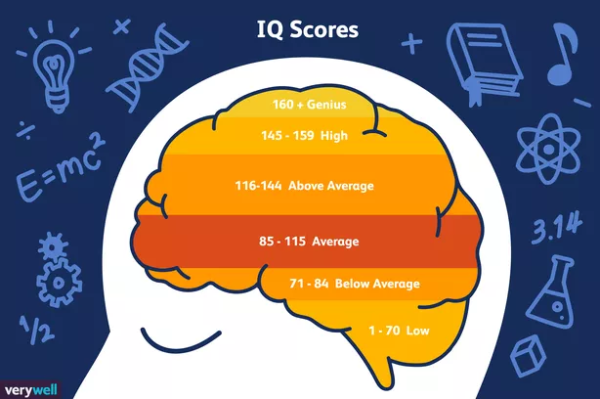 IQ-Brain