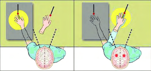 Rubber Hand Illusion